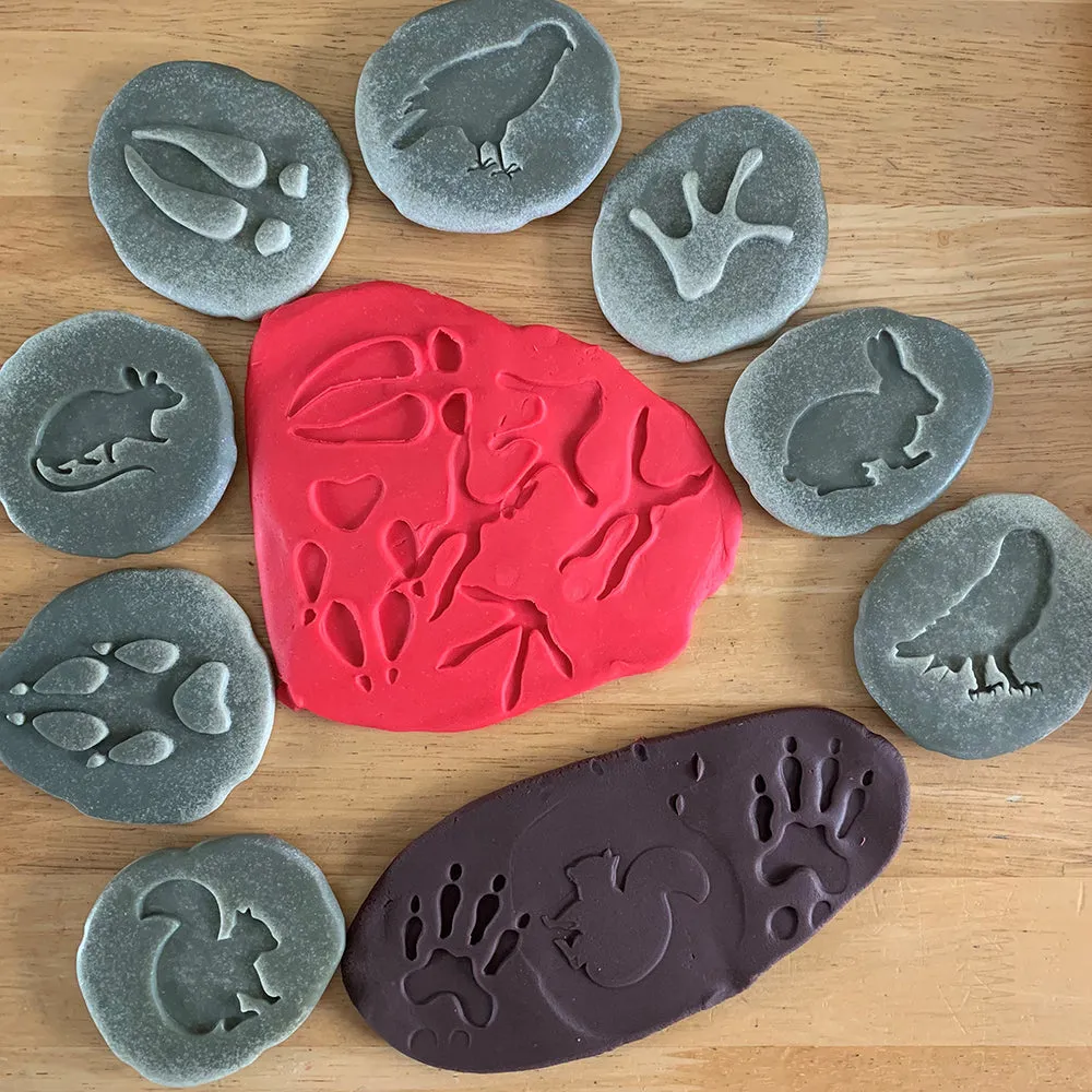 Yellow Door® Let's Investigate Woodland Footprints Double-Sided Animal Stones