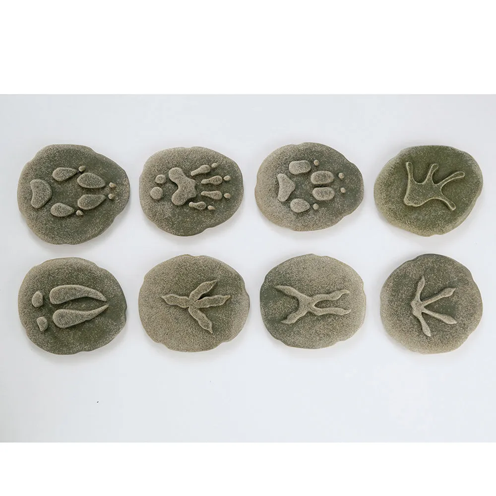 Yellow Door® Let's Investigate Woodland Footprints Double-Sided Animal Stones