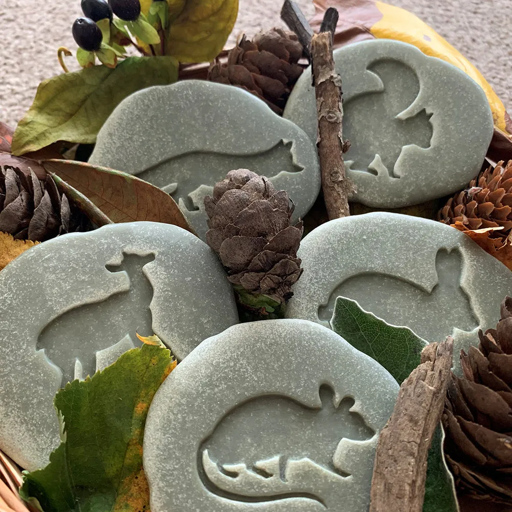Yellow Door® Let's Investigate Woodland Footprints Double-Sided Animal Stones