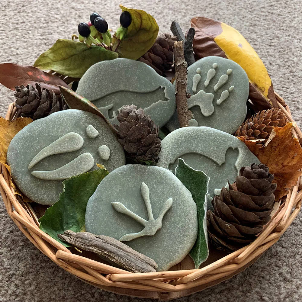 Yellow Door® Let's Investigate Woodland Footprints Double-Sided Animal Stones